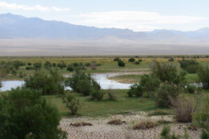 Scenic view of Smoky Tamarisk Slough 2023-09-01, #35, with Toquima Range in distance; lacks fairy shrimp; Mount Lewis BLM Office