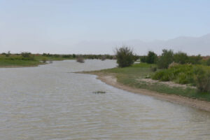 Scenic view of Smoky Tamarisk Slough 2023-09-01, #36, with Toiyabe Range in distance; lacks fairy shrimp; Mount Lewis BLM Office