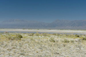 Scenic view of Smoky Thistle Pond 2023-08-30, #04, with Toiyabe Range in distance; lacks fairy shrimp; Mount Lewis BLM Office