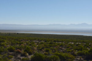 Scenic view of The Granites Playa Lake 2023-08-30, #02, with Toquima Range in distance; may or may not have fairy shrimp; Mount Lewis BLM Office