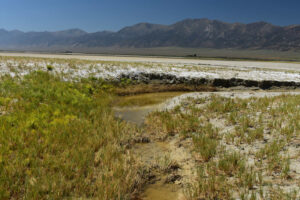 Scenic view of The Granites Playa Lake Inlet 2023-08-30, #11, with Toiyabe Range in distance; has fairy shrimp; Mount Lewis BLM Office