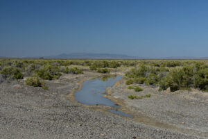 Scenic view of West Northumberland Road Pond #12 2023-08-30, #16, with Simpson Park Range in the far distance; lacks fairy shrimp; Mount Lewis BLM Office