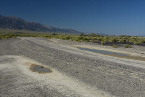 Scenic view of both puddles of West Northumberland Road Pond #7 2023-08-30, #20, with Bunker Hill in distance; one has fairy shrimp; Mount Lewis BLM Office