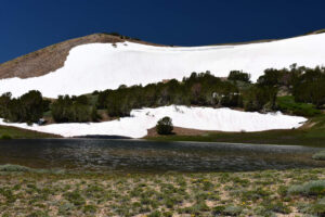 Scenic view of Wheeler Peak Pond 2023-07-27, #02, with snowbanks in background; lacks fairy shrimp; Bridgeport Ranger District, Humboldt-Toiyabe National Forest