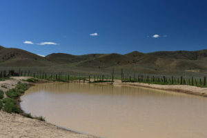 Scenic view of Win Wan Corral Pond 2023-08-24, #01; has fairy shrimp; Stillwater BLM Office