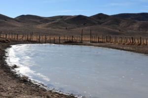 Scenic view of Win Wan Corral Pond 2023-12-05, #15; lacks fairy shrimp; Stillwater BLM Office