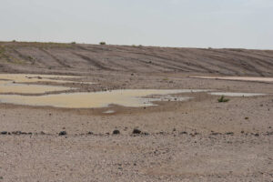 Scenic view of puddles on flat area next to Windy Gravel Pit Pond 2023-09-01, #05; has tadpole shrimp; Tonopah BLM Office