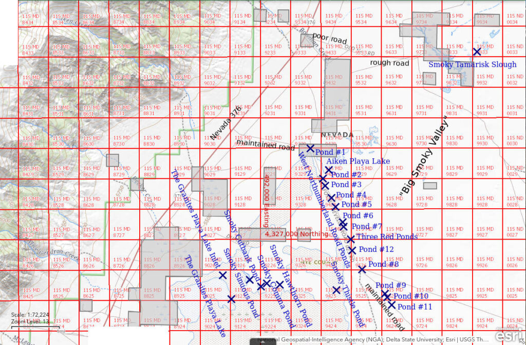 Topographic Map of West Northumberland Road Ponds and nearby ponds; The National Map with contours, roads, perennial/ephemeral water bodies, forest cover, marsh, UTM grid, private land