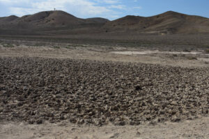 Scenic view of dry Win Wan Flat West Pond 2022-08-16 with extensive cow pocks, #12, lacks fairy shrimp; Stillwater BLM Office.