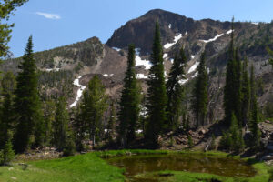 Scenic view of Cougar North Meadow Pond 2024-07-12, #14, with Cougar Peak in background; lacks fairy shrimp; Jarbidge Ranger District, Humboldt-Toiyabe National Forest, Jarbidge Wilderness