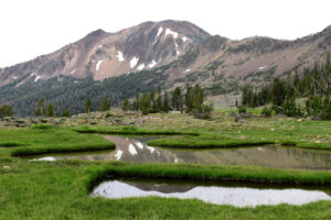 Scenic view of Marys River Peak North Pond 2024-07-13, #24, with Marys River Peak in background; lacks fairy shrimp; Jarbidge Ranger District, Humboldt-Toiyabe National Forest, Jarbidge Wilderness 