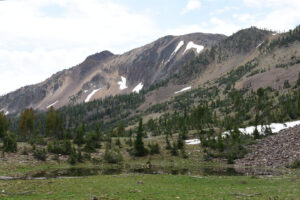 Scenic view of Marys River Peak South Pond 2024-07-13, #16, with snowbank; lacks fairy shrimp; Jarbidge Ranger District, Humboldt-Toiyabe National Forest, Jarbidge Wilderness