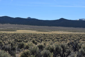 Scenic view of Snowmelt Swales Ponds 2024-04-16, #04; dry; Bridgeport Ranger District, Humboldt-Toiyabe National Forest