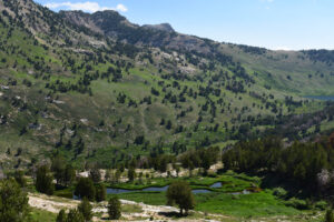 Scenic view of South Wall Kleckner Pond 2024-07-25, #65; lacks fairy shrimp; Ruby Mountains Ranger District, Humboldt-Toiyabe National Forest, Ruby Mountains Wilderness