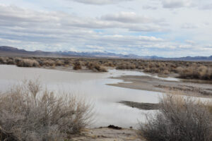 Scenic view of Stinking Springs Well Pond 2024-02-15, #01; has fairy shrimp; Stillwater BLM Office