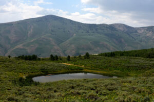 Scenic view of Top of White Cliffs Pond 2024-07-14, #27, with Copper Mountain in background; lacks fairy shrimp; Jarbidge Ranger District, Humboldt-Toiyabe National Forest