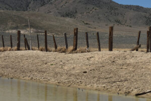 Scenic view of Win Wan Corral Pond 2024-04-18, #04, with sandpipers; lacks fairy shrimp; Stillwater BLM Office