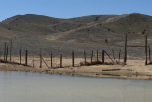 Scenic view of Win Wan Corral Pond 2024-04-18, #05, with ducks; lacks fairy shrimp; Stillwater BLM Office