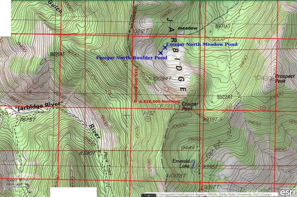 Topographic Map of Cougar North Boulder Pond and Cougar North Meadow Pond; The National Map with contours, roads, perennial/ephemeral water bodies, forest cover, marsh, UTM grid, private land 