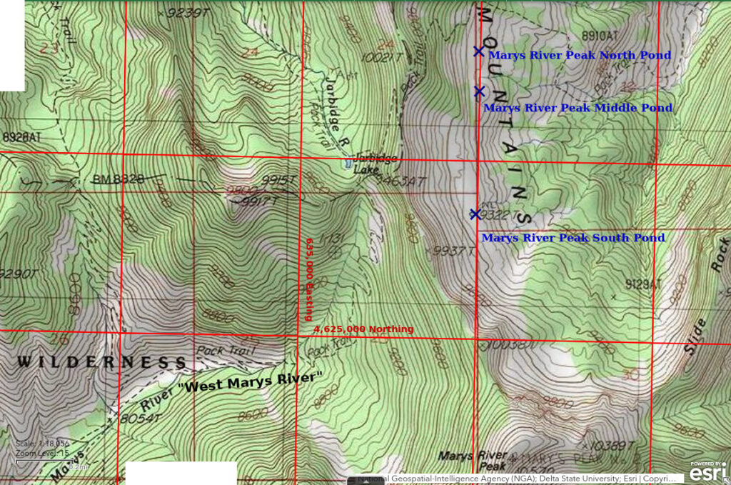 Topographic Map of Marys River Peak South Pond, Marys River Peak Middle Pond, and Marys River Peak North Pond; The National Map with contours, roads, perennial/ephemeral water bodies, forest cover, marsh, UTM grid, private land