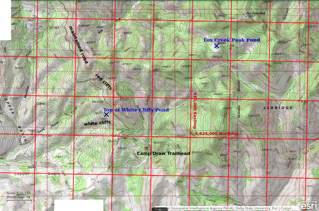 Topographic Map of Top of White Cliffs Pond and Fox Creek Peak Pond; The National Map with contours, roads, perennial/ephemeral water bodies, forest cover, marsh, UTM grid, private land