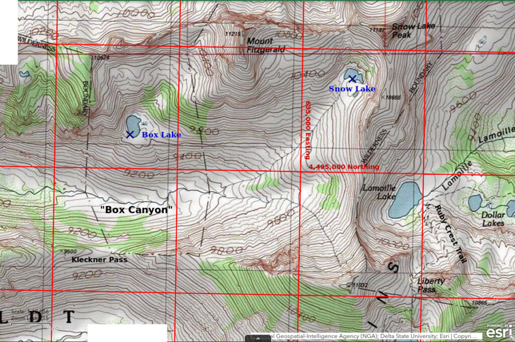 Topographic Map of Box Lake and Snow Lake; The National Map with contours, roads, perennial/ephemeral water bodies, forest cover, marsh, UTM grid, private land