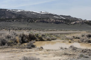 Scenic view of 8A Culvert Pond 2025-04-09, #02, with Fortynine Mountain in distance; has fairy shrimp; Applegate BLM Office