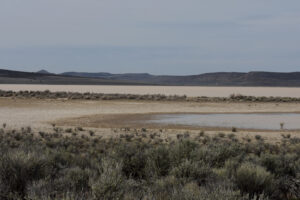 Scenic view of "Calcutta Lake" 2025-04-09, #09, has fairy shrimp; Applegate BLM Office