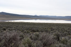 Scenic view of "Cow Lake" 2025-04-11, #30, has fairy shrimp; Applegate BLM Office
