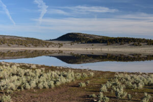 Scenic view of Frog Chorus Reservoir 2025-04-09, #16, has fairy shrimp; Applegate BLM Office