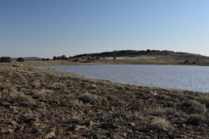 cenic view of "Horse Lake" 2025-04-09, #14, has fairy shrimp; Applegate BLM Office