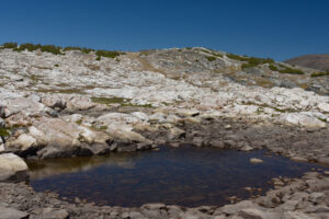 Scenic view of Marmot Dropping Pond 2024-08-20, #24, lacks fairy shrimp; Inyo National Forest, Hoover Wilderness