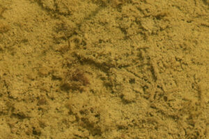 Pond view of Smith Creek Cold Springs Ponds 2025-04-15, #06, with wrigglers; lacks fairy shrimp; Mount Lewis BLM Office