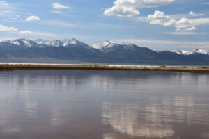 Scenic view of Smith Creek Cold Springs Ponds 2025-04-15, #11, with Shoshone Range in distance; may have fairy shrimp; Mount Lewis BLM Office