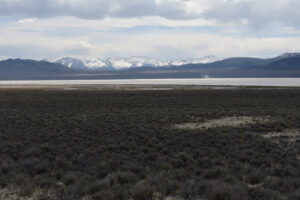Scenic view of Smith Creek Cold Springs Ponds 2025-04-15, #13, from county-maintained road with Toiyabe Range on horizon; has fairy shrimp; Mount Lewis BLM Office