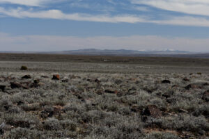 Scenic view of Townsend Dry Lake 2025-04-10, #24, has fairy shrimp; Applegate BLM Office
