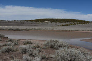 Scenic view of Townsend North Stock Pond 2025-04-10, #25, has fairy shrimp; Applegate BLM Office