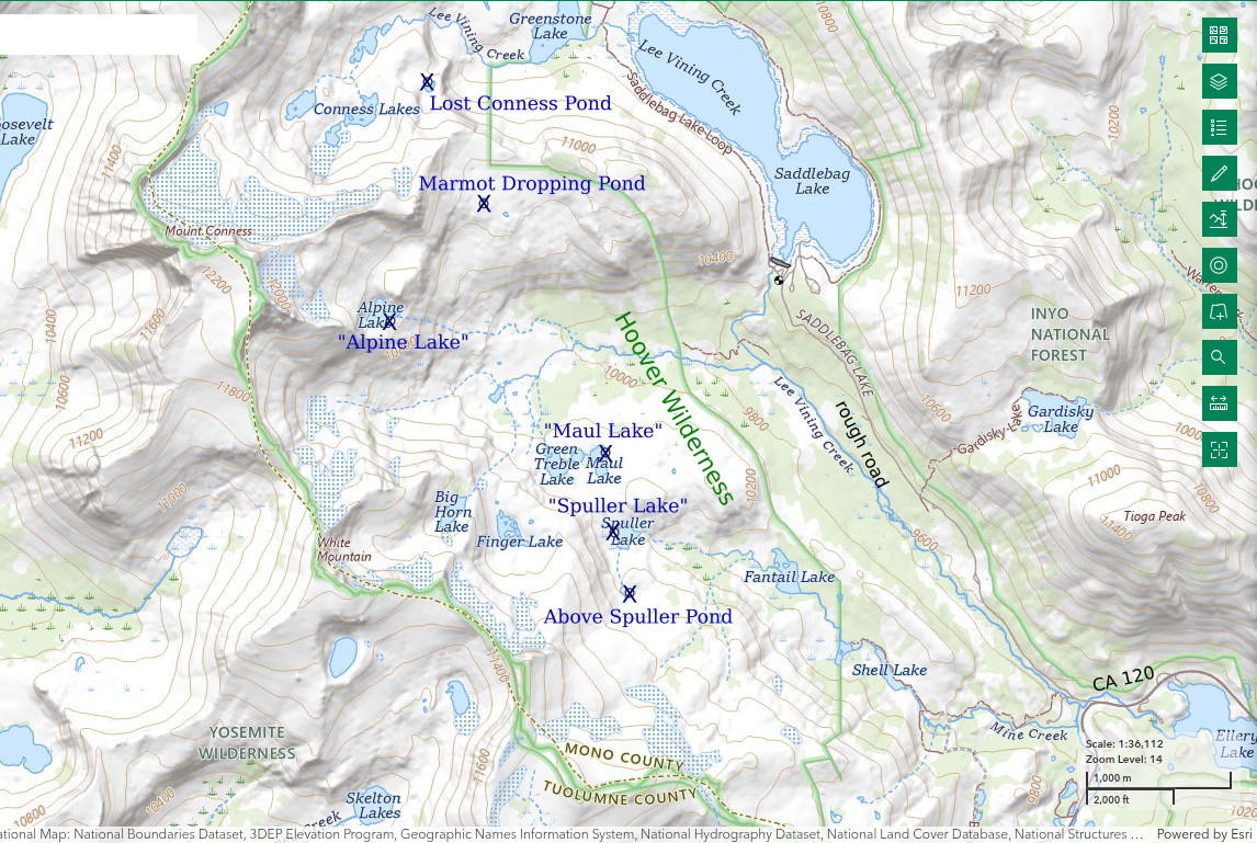 Topographic Map of "Maul Lake", "Spuller Lake", Above Spuller Pond, "Alpine Lake", Marmot Dropping Pond, and Lost Conness Pond; The National Map with contours, roads, perennial/ephemeral water bodies, forest cover, marsh, UTM grid, private land