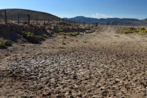 Scenic view of Garfield 5890 Saddle Pond 2025-09-04, #09, looking south; has fairy shrimp; Stillwater BLM Office
