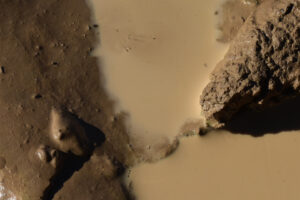 Pond view of Garfield 5890 Saddle Pond 2025-09-04, #10a, with fairy shrimp; Stillwater BLM Office