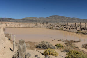 Scenic view of Garfield 5890 Saddle Pond 2025-10-09, #22, looking north; has fairy shrimp; Stillwater BLM Office