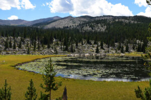 Scenic view of "Mabel Lake" 2026-08-16, #32, lacks fairy shrimp; Powder River Ranger District, Bighorn National Forest, Cloud Peak Wilderness