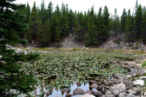 Scenic view of Moraine Crater Pond 2026-08-15, #29, lacks fairy shrimp; Powder River Ranger District, Bighorn National Forest, Cloud Peak Wilderness